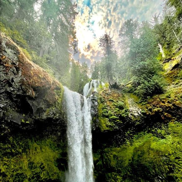 Meet your Posher, Lauren - Picture 1 of 1